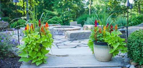 Landscape Cleanup Patio