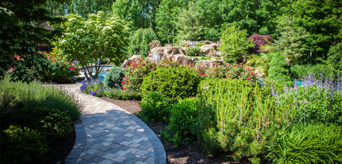 Landscape Cleanup Walkway Stones