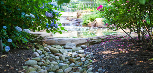 Landscape Cleanup Pond