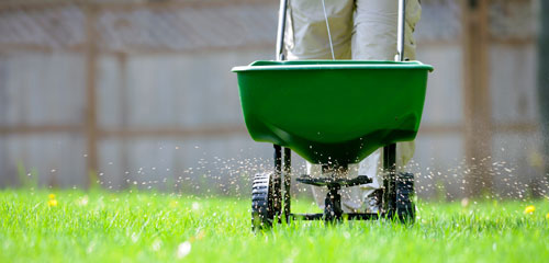 Complete Care Landscape Fertilize