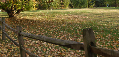 Fall Landscaping Blowing Leaves