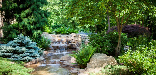 Tree and Shrub Garden