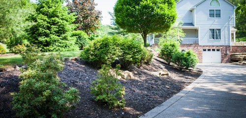 Beautiful Mulch Landscaping