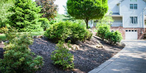 Landscape Mulching