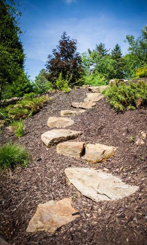 Landscape Mulching