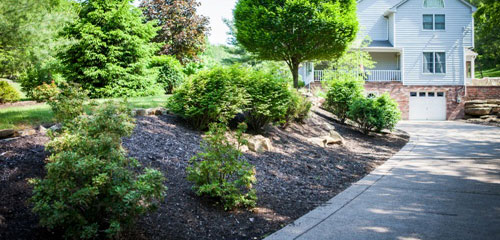 Summer Landscape Mulch