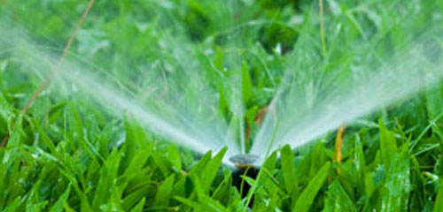 Summer Watering Lawn