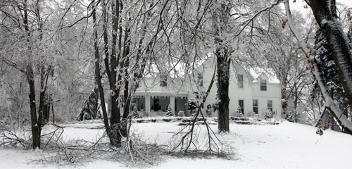 Winter Landscape